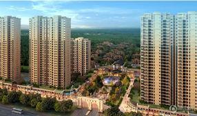 九江碧桂园爆料案件最新,揭开豪宅背后的惊人真相