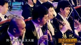 小虎爆料视频大全,揭秘娱乐圈幕后故事