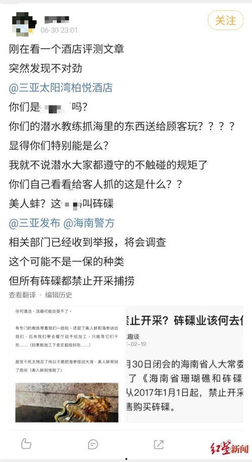 海南网友爆料新闻视频 第1张 海南网友爆料新闻视频 第1张